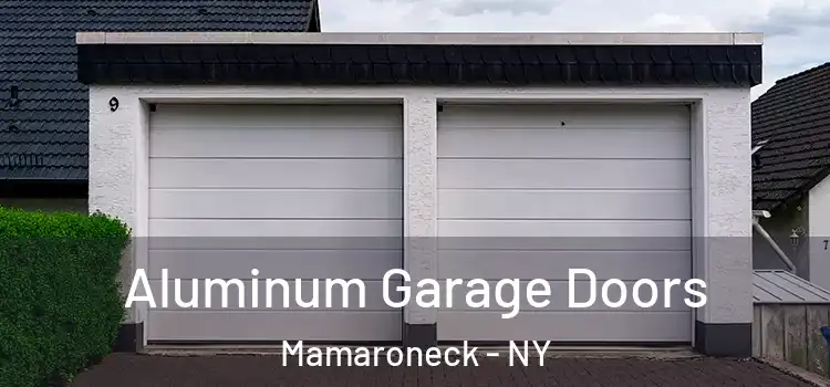  Aluminum Garage Doors Mamaroneck - NY