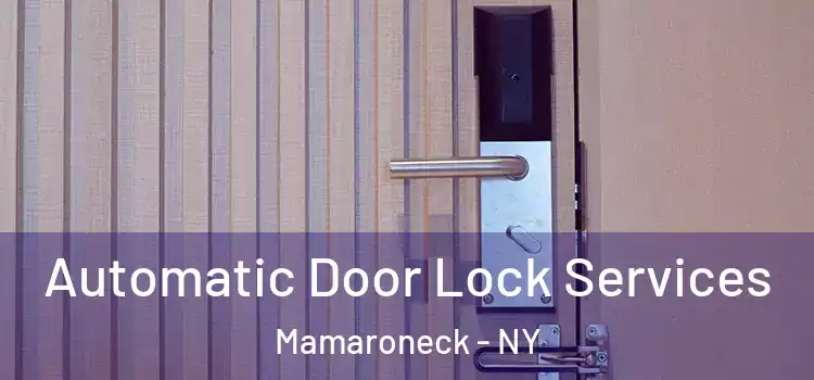  Automatic Door Lock Services Mamaroneck - NY