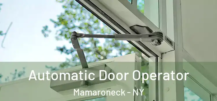  Automatic Door Operator Mamaroneck - NY