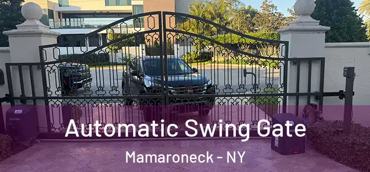  Automatic Swing Gate Mamaroneck - NY