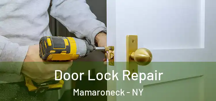 Door Lock Repair Mamaroneck - NY
