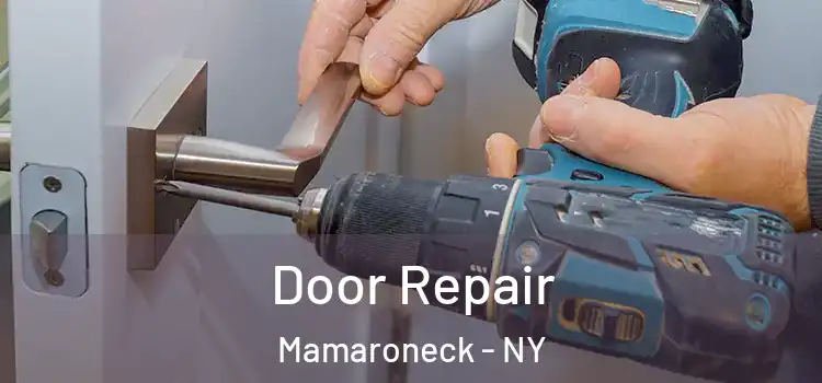Door Repair Mamaroneck - NY