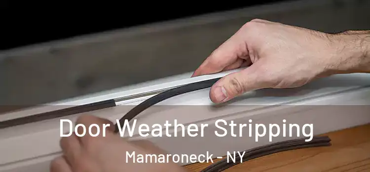 Door Weather Stripping Mamaroneck - NY