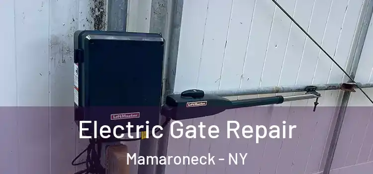 Electric Gate Repair Mamaroneck - NY