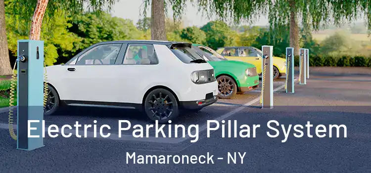 Electric Parking Pillar System Mamaroneck - NY
