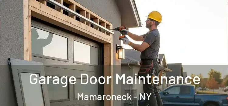 Garage Door Maintenance Mamaroneck - NY