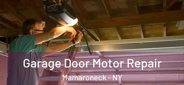  Garage Door Motor Repair Mamaroneck - NY