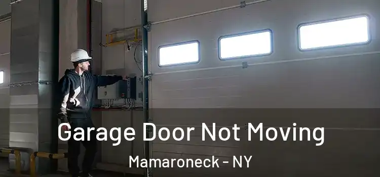  Garage Door Not Moving Mamaroneck - NY