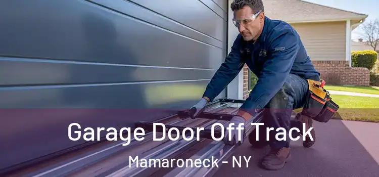  Garage Door Off Track Mamaroneck - NY