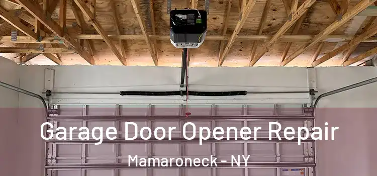  Garage Door Opener Repair Mamaroneck - NY