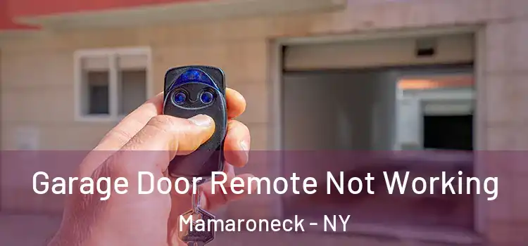  Garage Door Remote Not Working Mamaroneck - NY