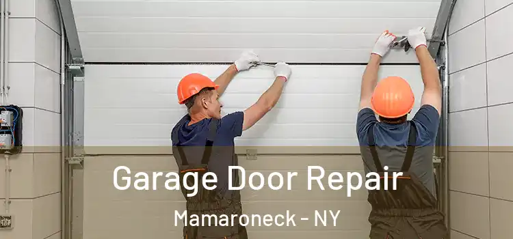 Garage Door Repair Mamaroneck - NY