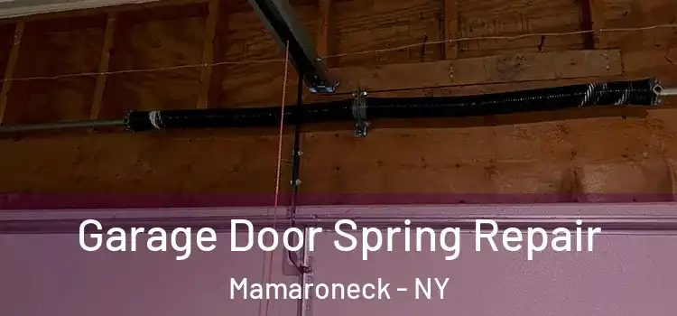  Garage Door Spring Repair Mamaroneck - NY