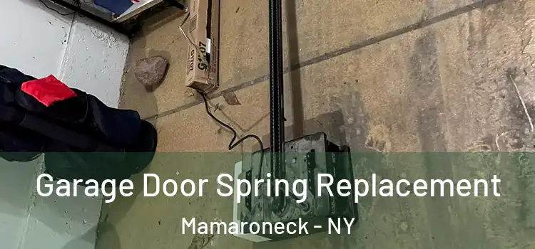  Garage Door Spring Replacement Mamaroneck - NY