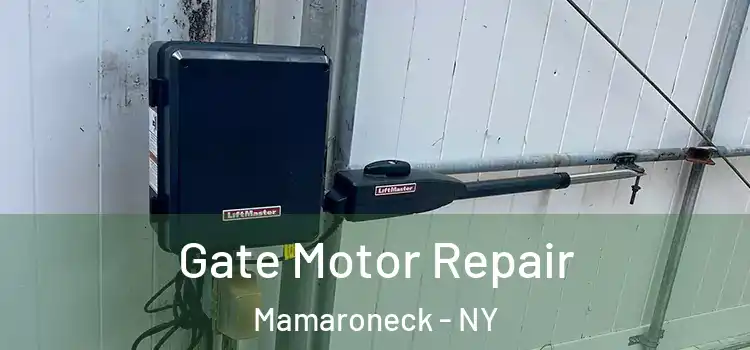 Gate Motor Repair Mamaroneck - NY