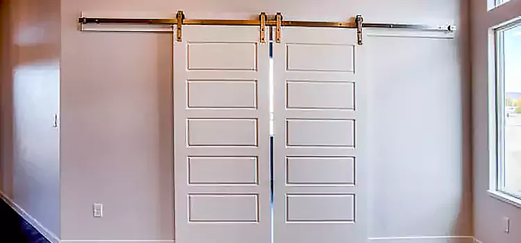 Glass Barn Door with Installation Hardware Kit Mamaroneck