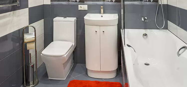 Hansgrohe Shaving Mirror Mamaroneck