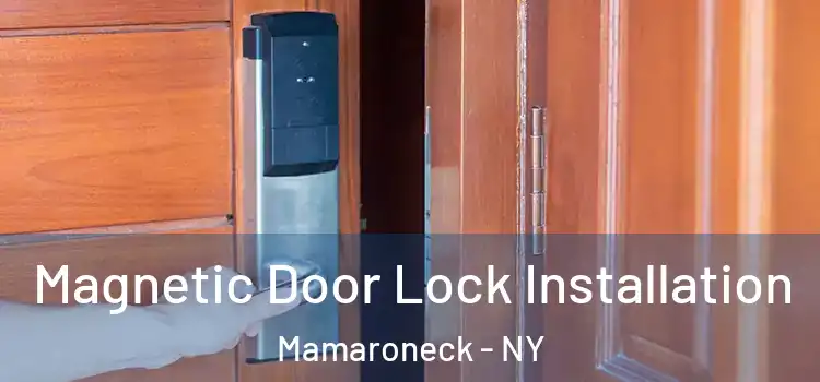  Magnetic Door Lock Installation Mamaroneck - NY