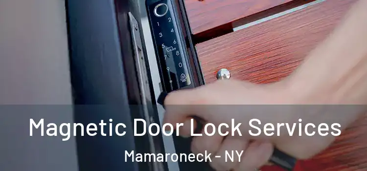 Magnetic Door Lock Services Mamaroneck - NY