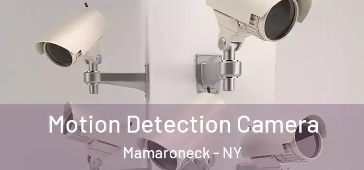  Motion Detection Camera Mamaroneck - NY