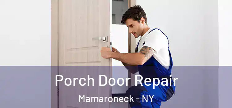  Porch Door Repair Mamaroneck - NY