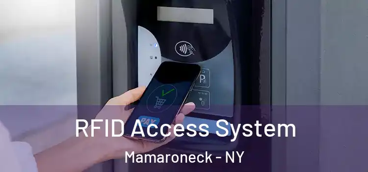  RFID Access System Mamaroneck - NY
