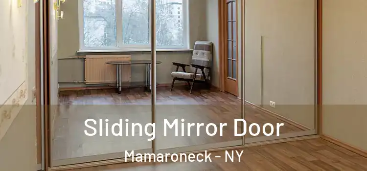  Sliding Mirror Door Mamaroneck - NY