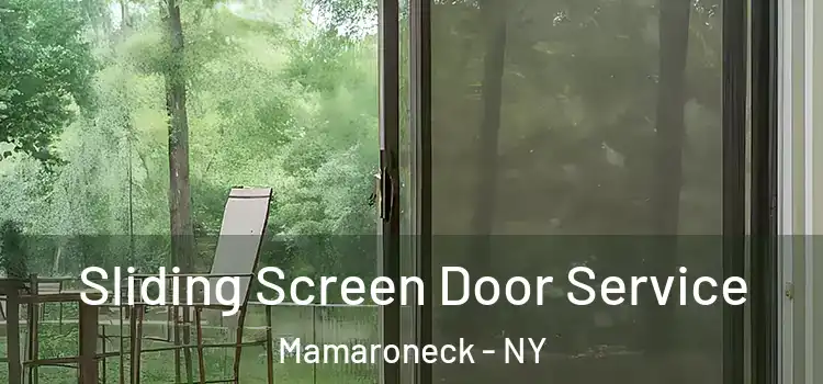 Sliding Screen Door Service Mamaroneck - NY